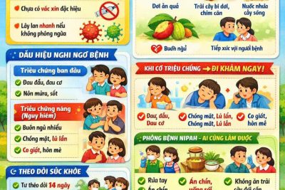 TÌNH HÌNH DỊCH VIRUS NIPAH VÀ CÁC BIỆN PHÁP CHỦ ĐỘNG PHÒNG CHỐNG TẠI TRƯỜNG MẦM NON HẢI PHÚC.